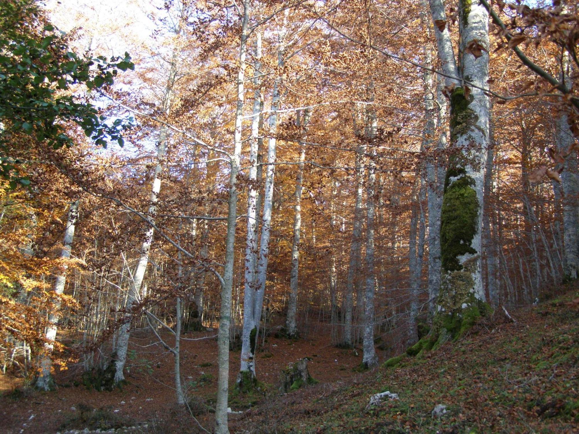 B&B Le Grazie Piaggine Exteriör bild